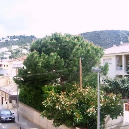 Apartment In Near Sandy Roses