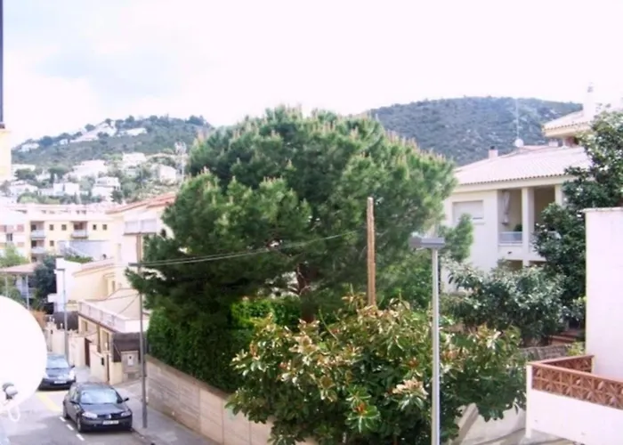 Apartment In Near Sandy Roses